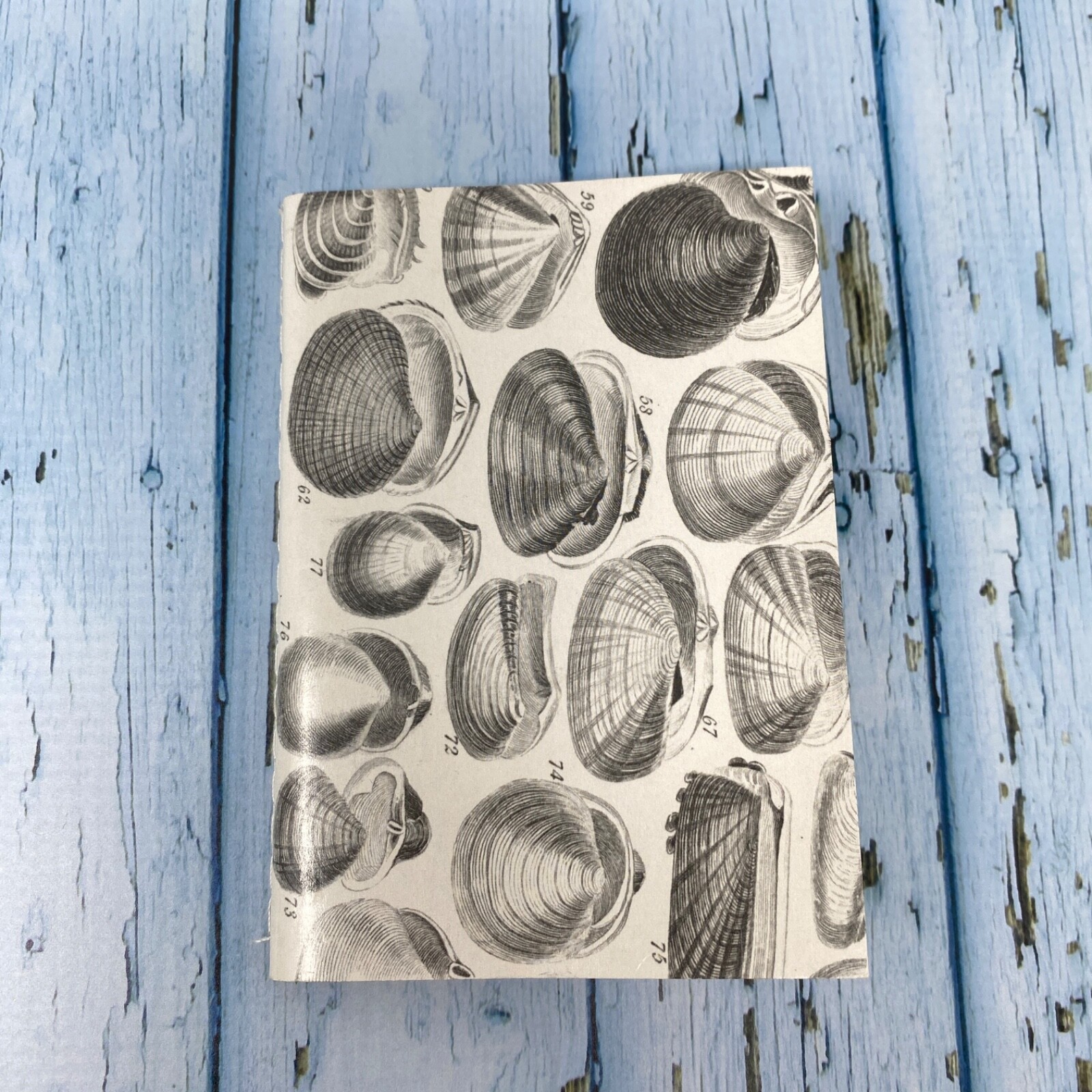 Seashell Mini Notebook Set of 3 Blank Small Journal Nautical Coastal Beach Shell