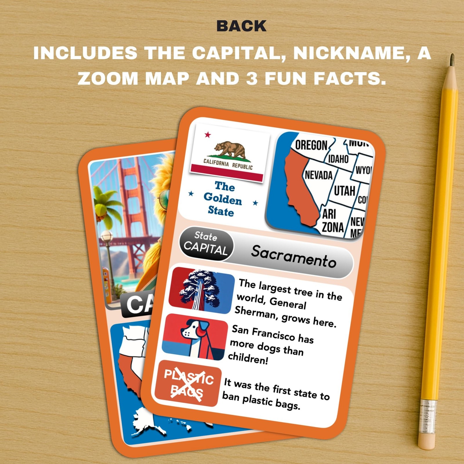 States Explorer – USA State Flashcards for Kids Ages 6+ | 50 United States