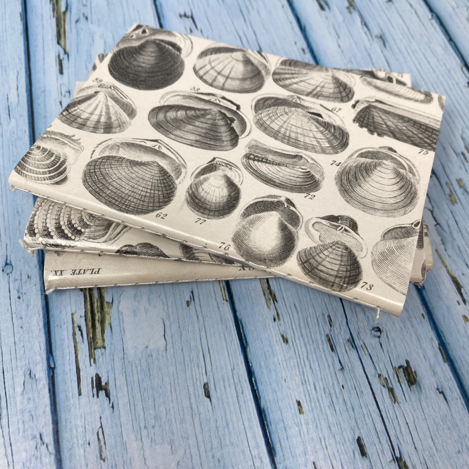 Seashell Mini Notebook Set of 3 Blank Small Journal Nautical Coastal Beach Shell