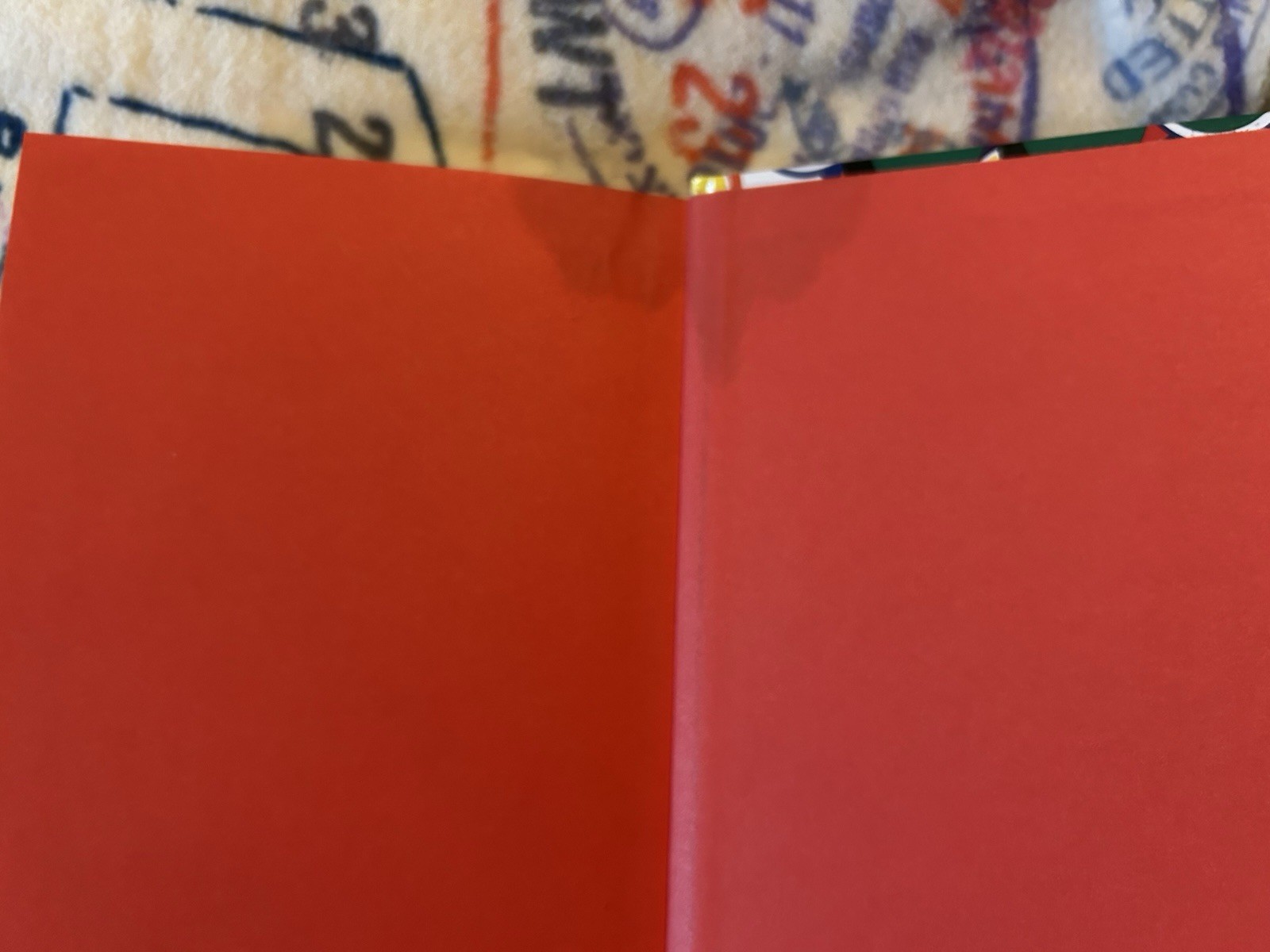 Coach Poppy C Pop Diary Journal