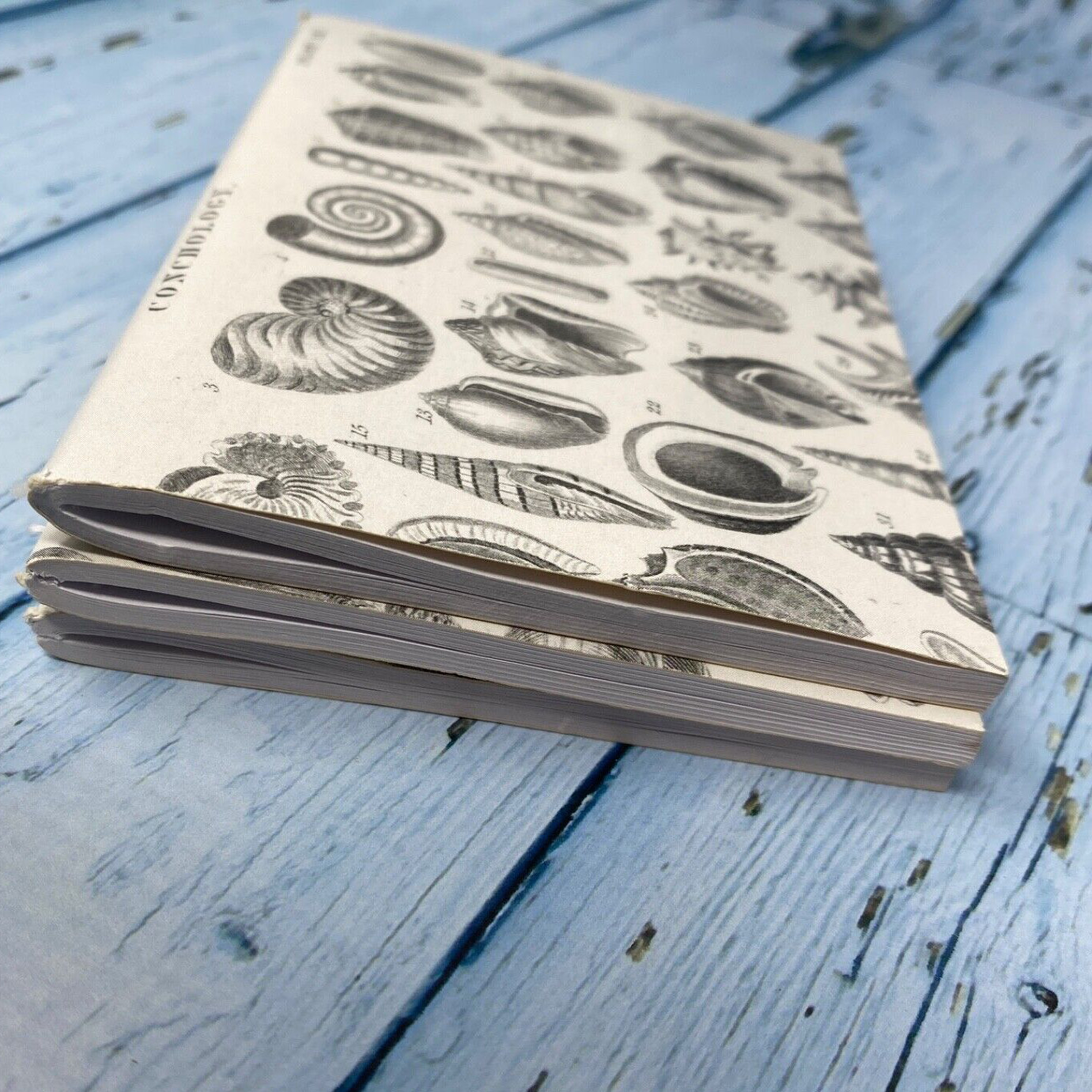 Seashell Mini Notebook Set of 3 Blank Small Journal Nautical Coastal Beach Shell
