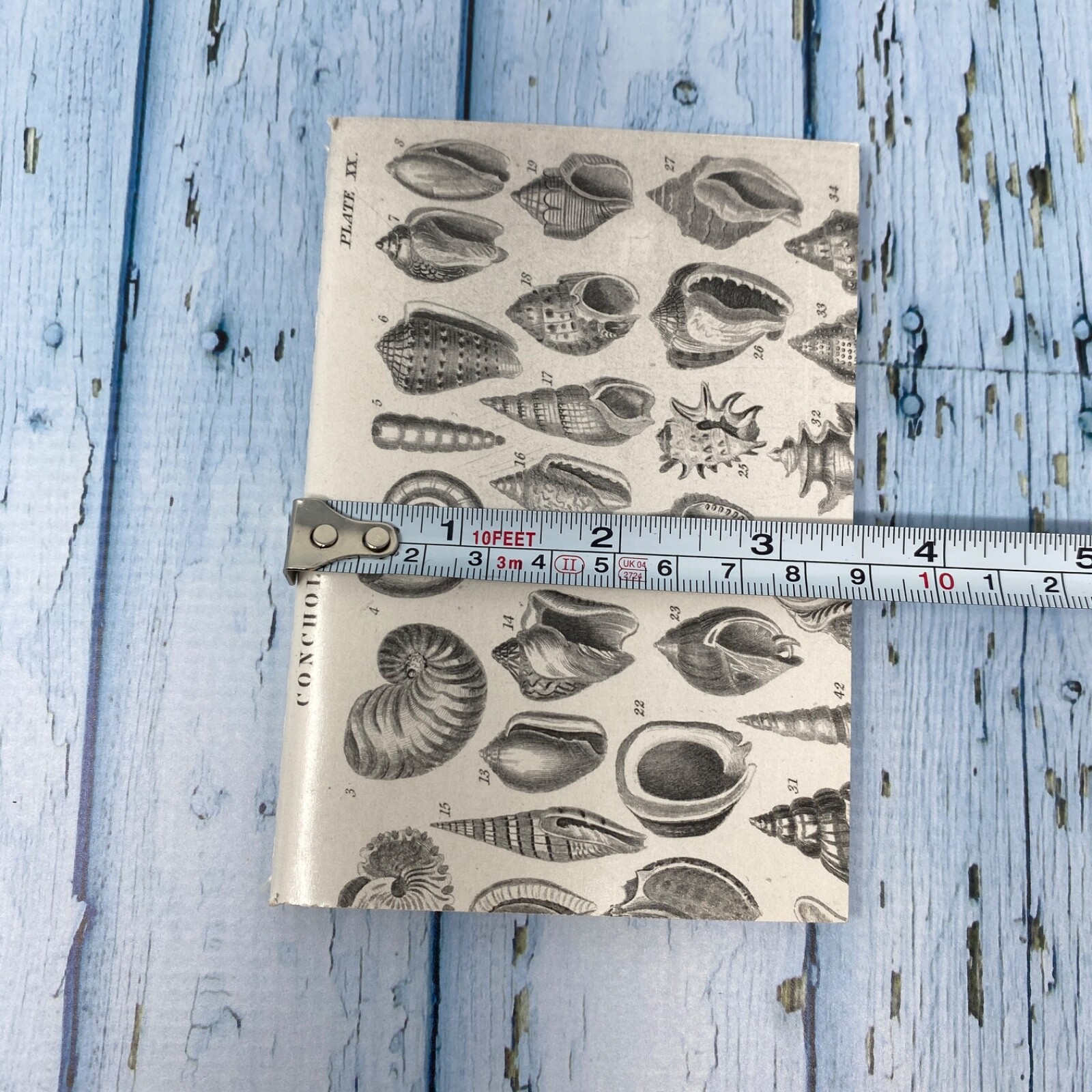 Seashell Mini Notebook Set of 3 Blank Small Journal Nautical Coastal Beach Shell
