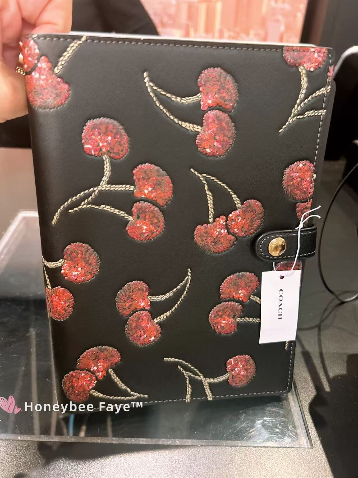 NWT Coach Notebook In Signature Canvas With Mystical Floral/Stripe Heart Print