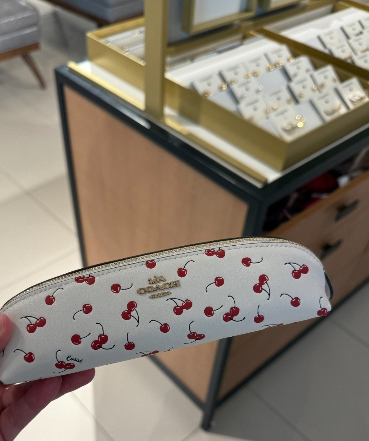 NWT COACH Pencil Case In Smooth Leather With Cherry Print 🍒 CFA45 Chalk Red
