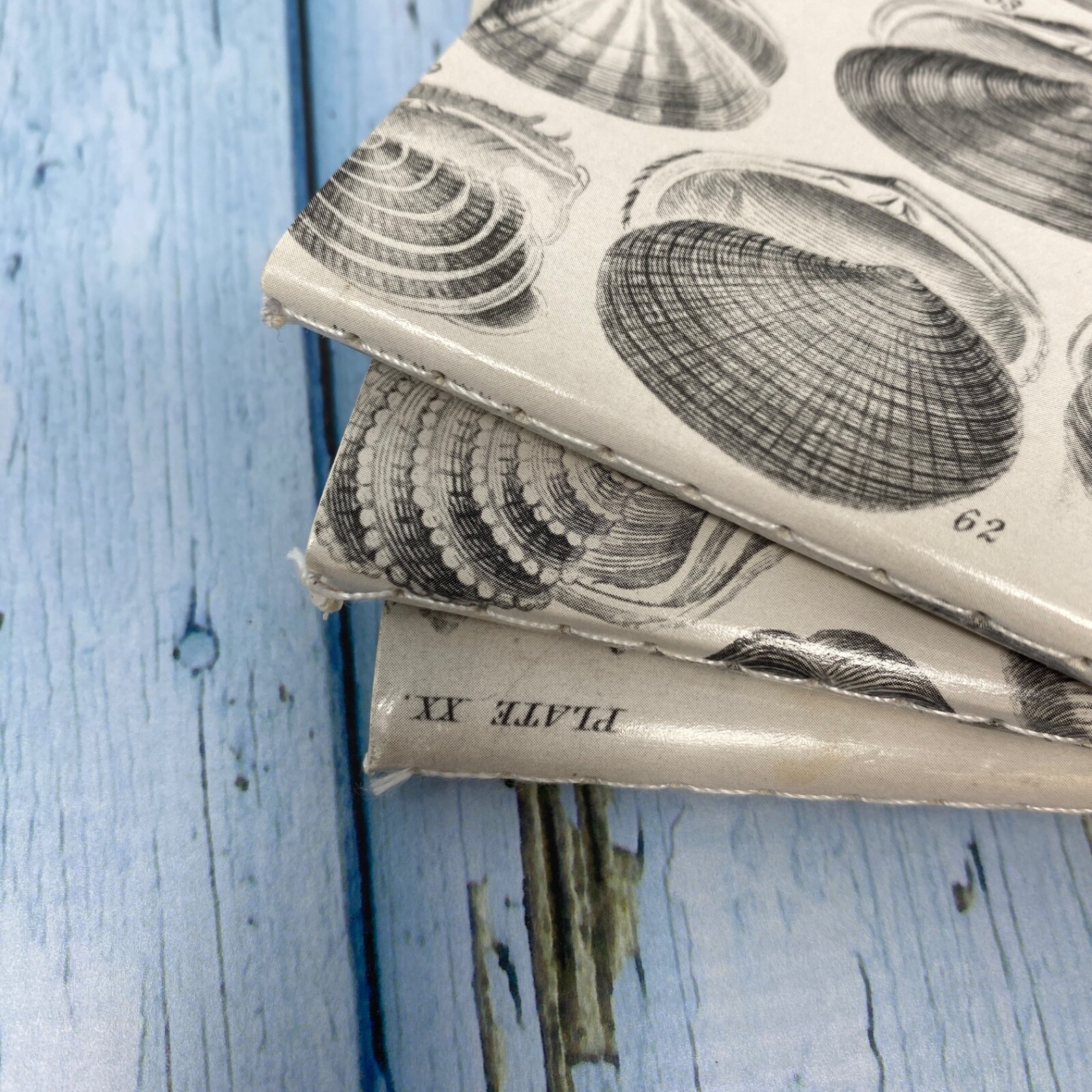 Seashell Mini Notebook Set of 3 Blank Small Journal Nautical Coastal Beach Shell