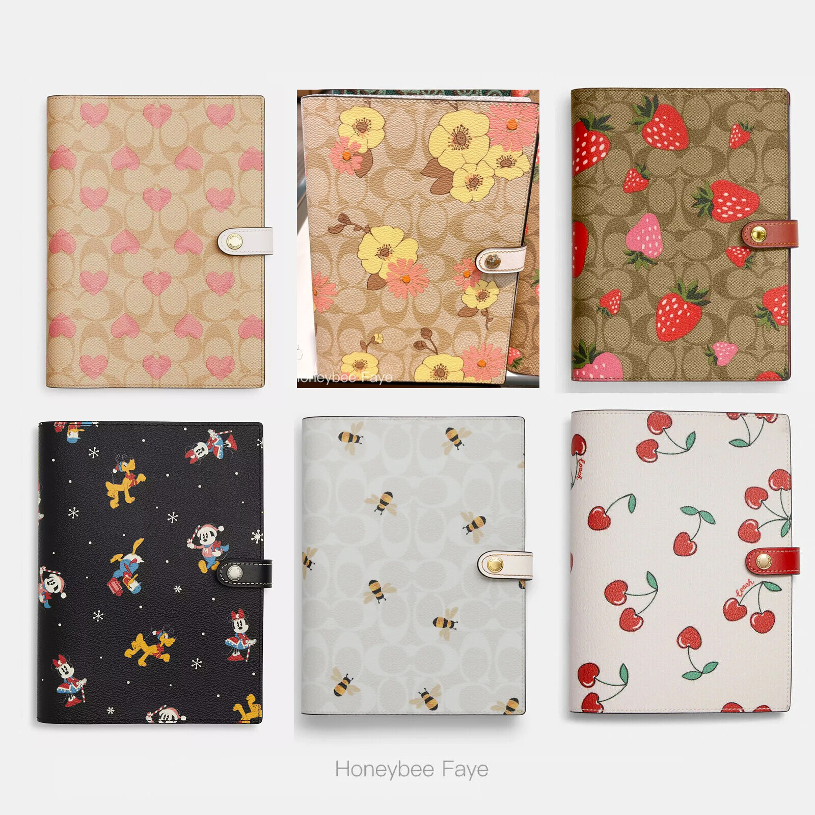 NWT Coach Notebook In Signature Canvas With Mystical Floral/Stripe Heart Print