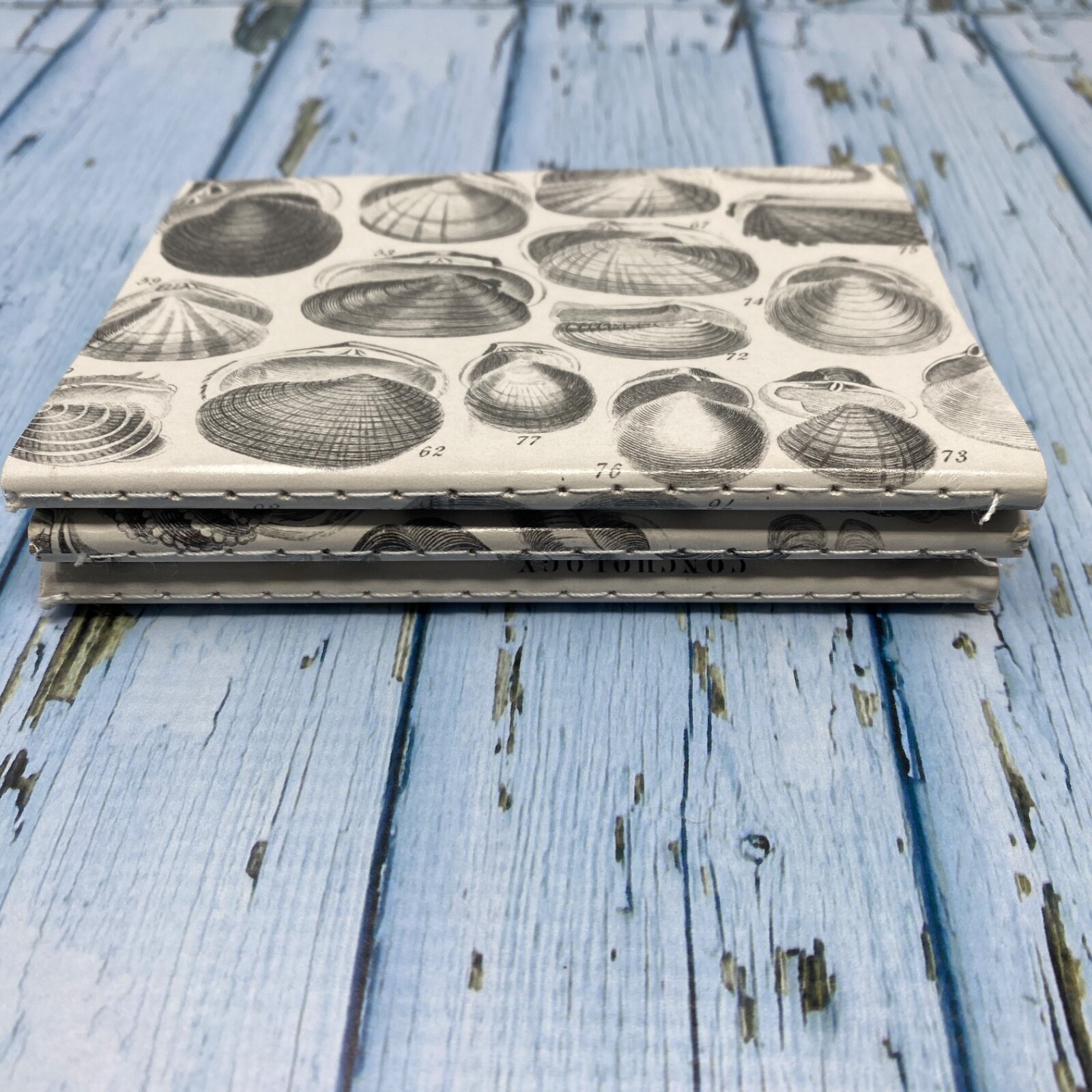 Seashell Mini Notebook Set of 3 Blank Small Journal Nautical Coastal Beach Shell