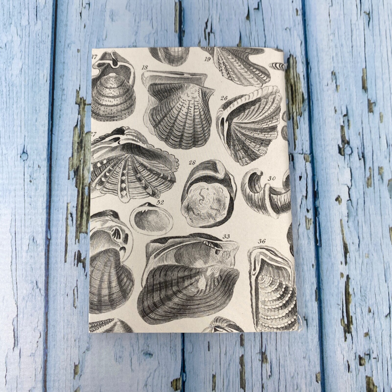 Seashell Mini Notebook Set of 3 Blank Small Journal Nautical Coastal Beach Shell