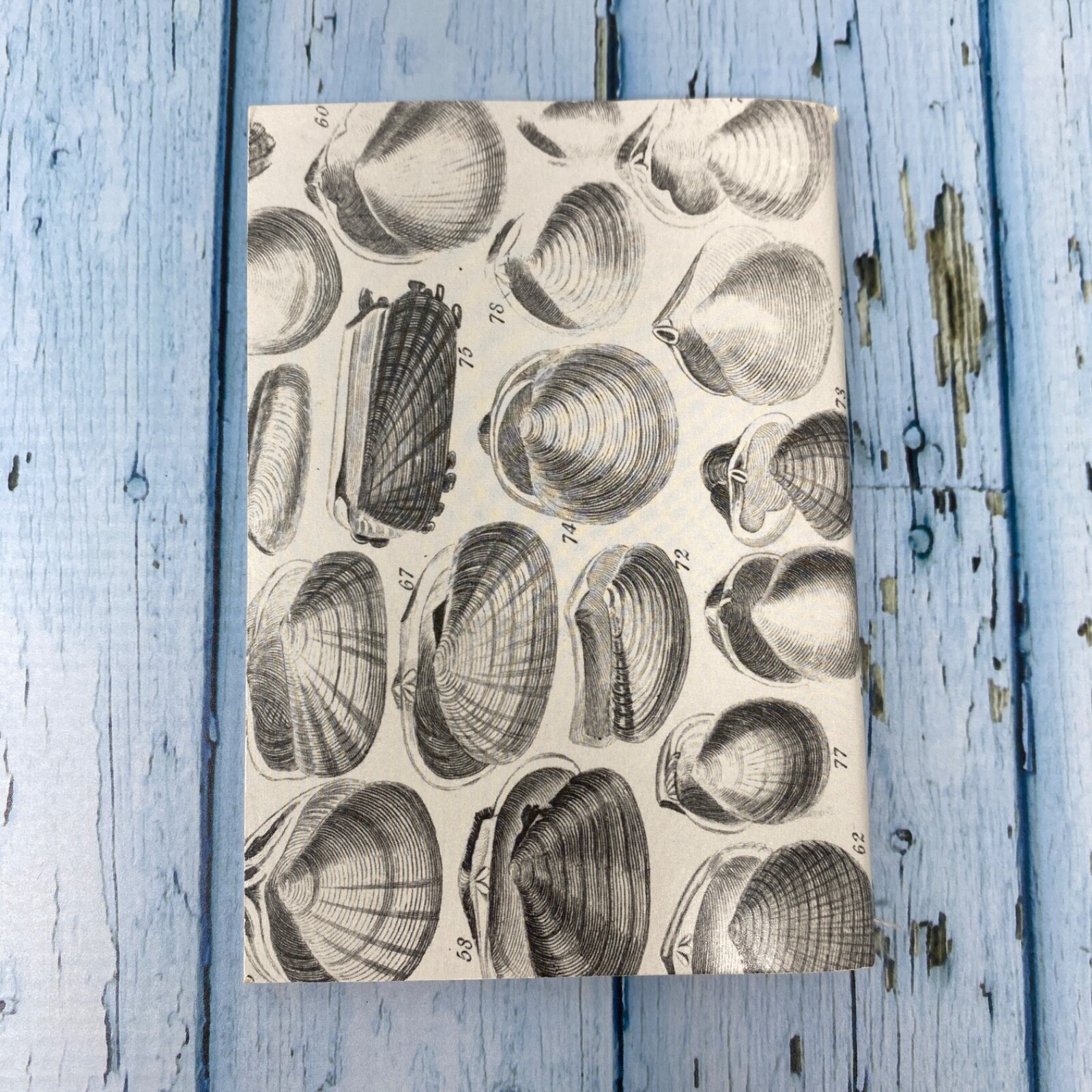 Seashell Mini Notebook Set of 3 Blank Small Journal Nautical Coastal Beach Shell