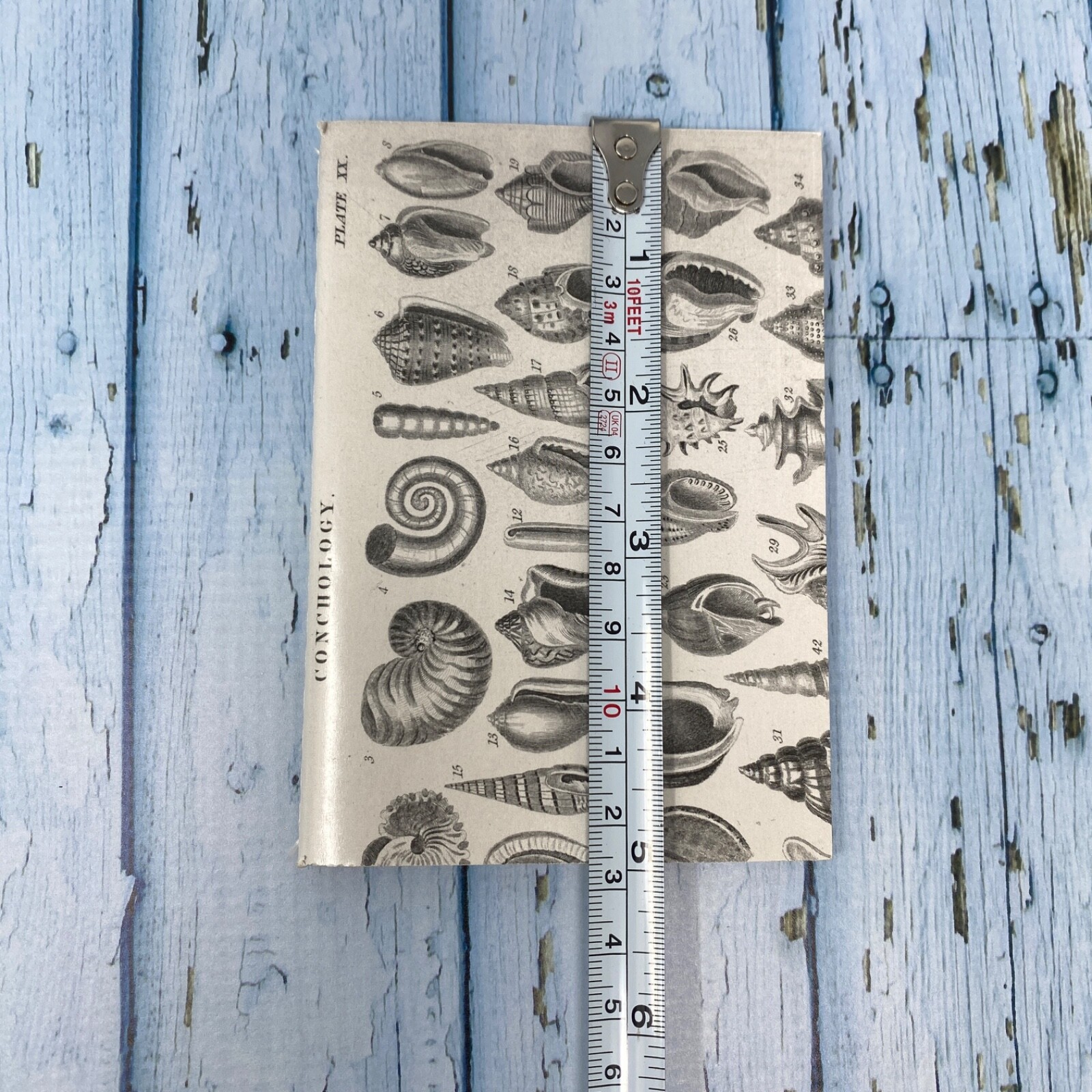 Seashell Mini Notebook Set of 3 Blank Small Journal Nautical Coastal Beach Shell