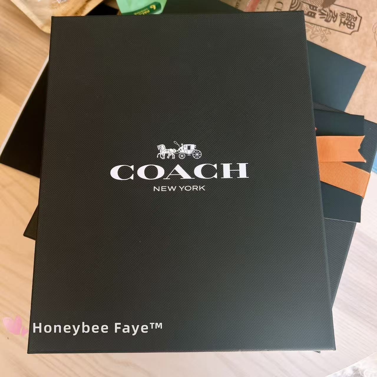 NWT Coach Notebook With Rexy CE928 Brass/Black Multi BOX