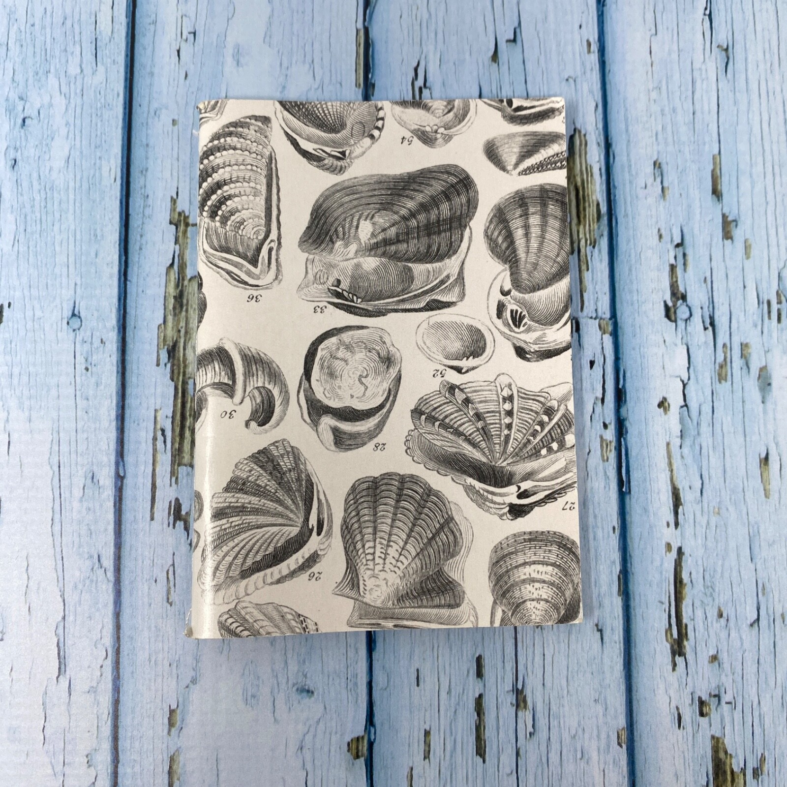 Seashell Mini Notebook Set of 3 Blank Small Journal Nautical Coastal Beach Shell