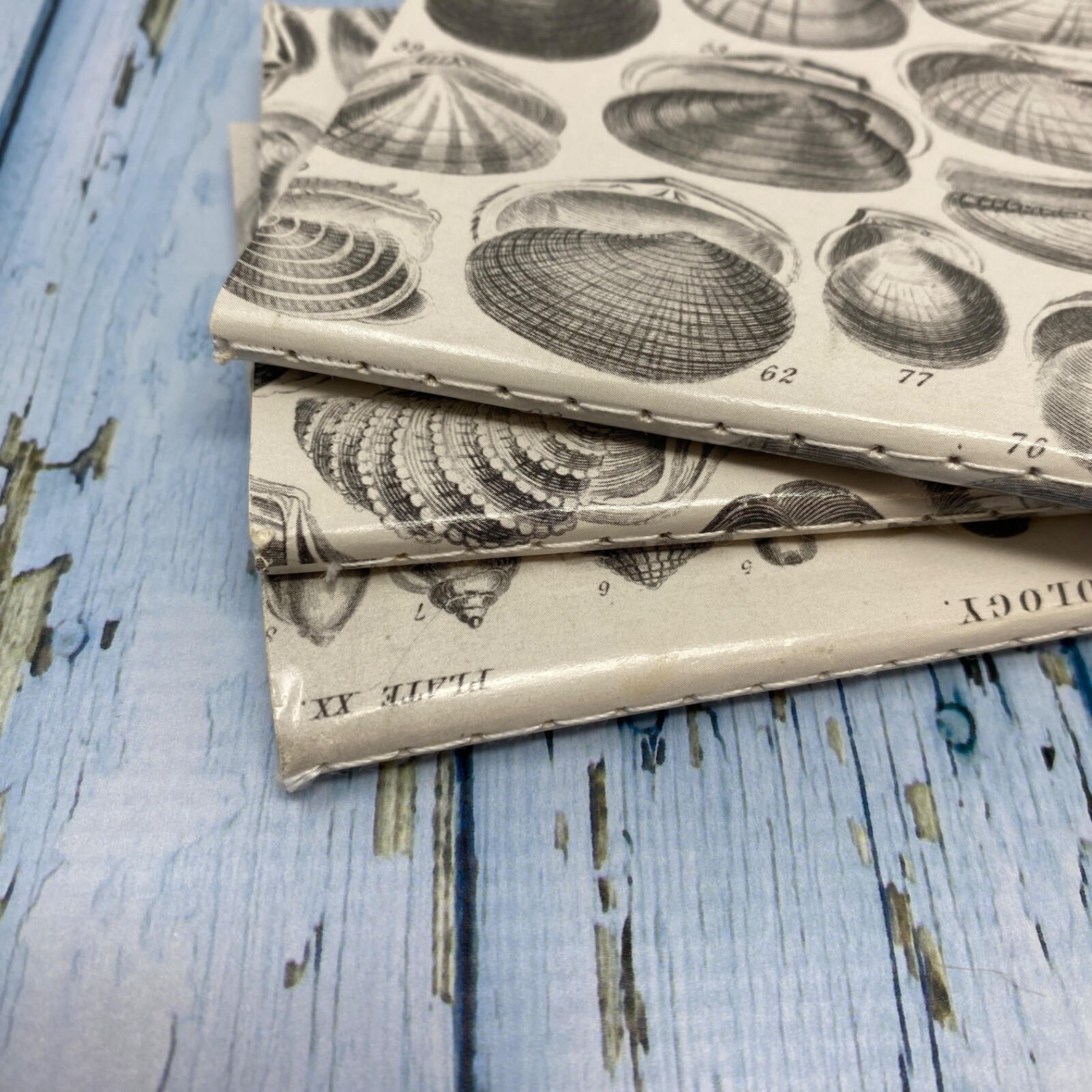 Seashell Mini Notebook Set of 3 Blank Small Journal Nautical Coastal Beach Shell