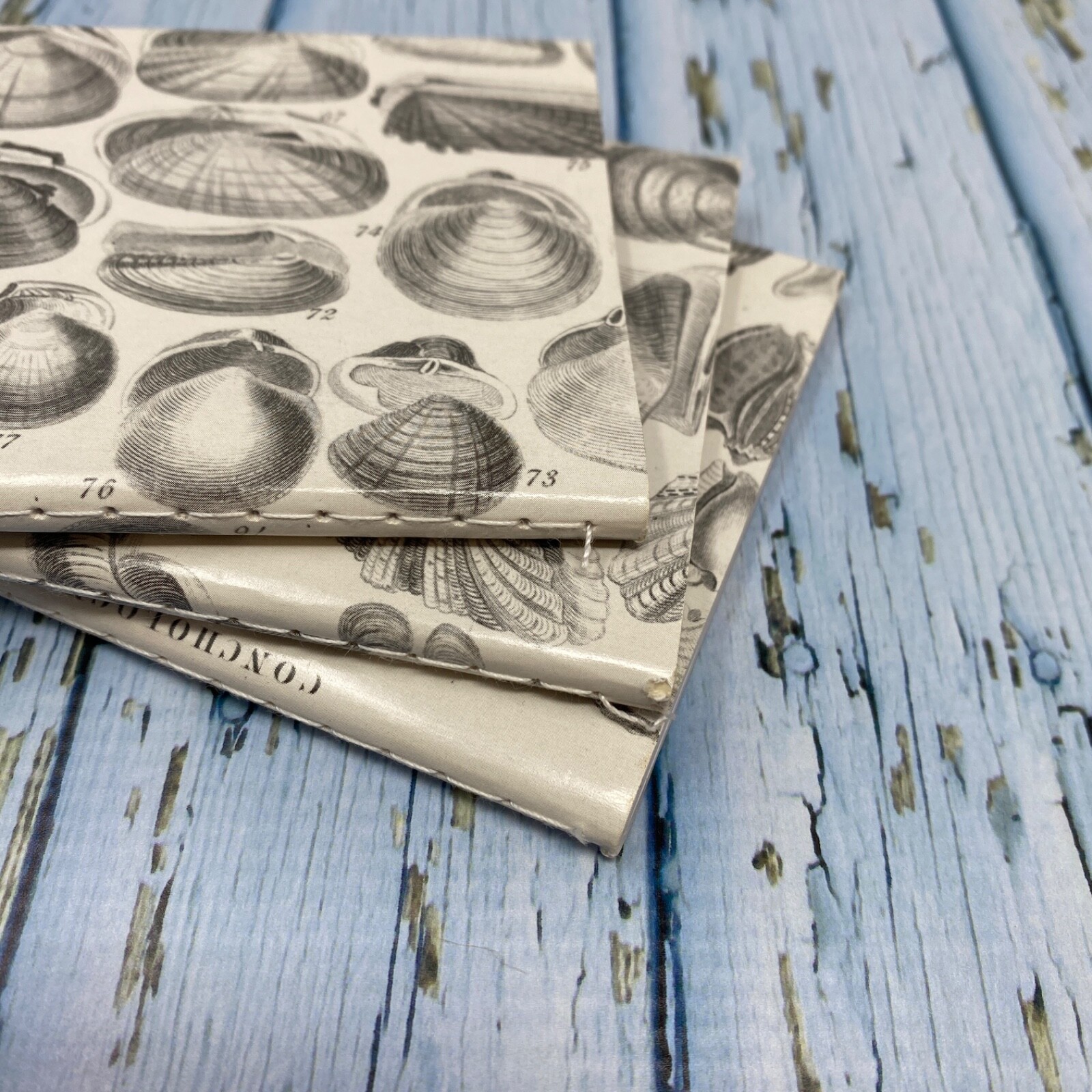 Seashell Mini Notebook Set of 3 Blank Small Journal Nautical Coastal Beach Shell